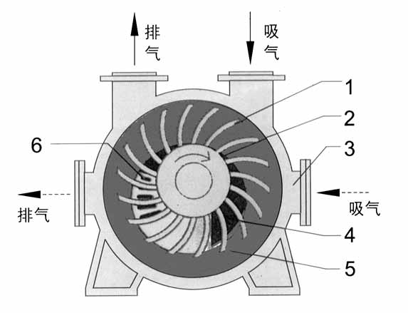 2BE1水环式米兰在线结构图